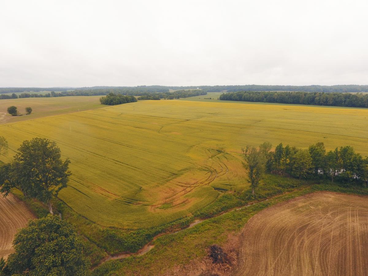 109.03± Acres in McLean Co. KY Gallery Kurtz Auction & Realty Co.